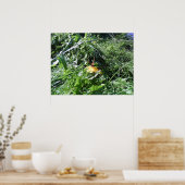 ガーデンウィズチョークガーデンポスタープリント ポスター (キッチン)