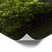 ガーデンウォーターフォール ポスター (角)