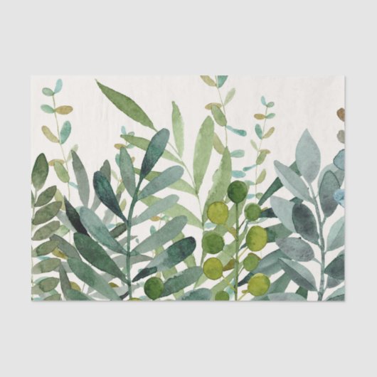 ガーデンウォーター植物性葉植物 薄葉紙 (正面)