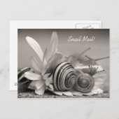 ガーデンエレガントカタツムリズオンガーベラデイジー花 ポストカード (正面/裏面)