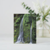 ガーデンオブエデンポストカード ポストカード (スタンド正面)