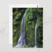 ガーデンオブエデンポストカード ポストカード (正面/裏面)