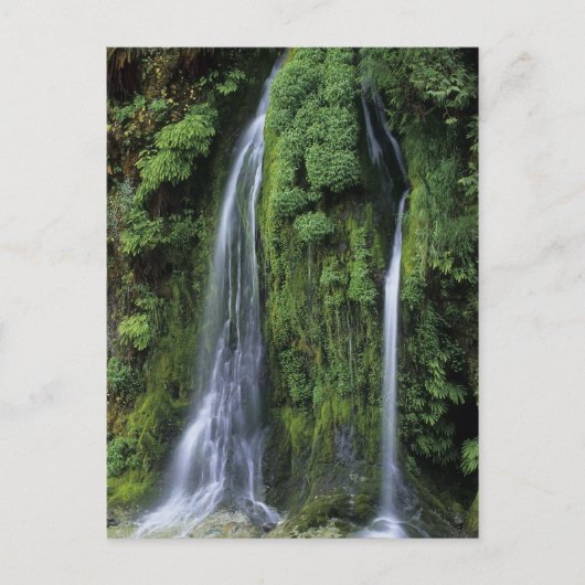 ガーデンオブエデンポストカード ポストカード (正面)