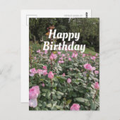 ガーデンオブピンクローズズ誕生日ウィッシュハガキ ポストカード (正面/裏面)