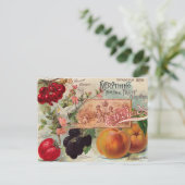 ガーデンオーチャードフルーツフラワーヴィンテージアートはがき ポストカード (スタンド正面)