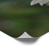 ガーデンカタツムイルアンドホワイトカーネーションプリント ポスター (角)