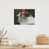 ガーデンカタツムイルアンドホワイトカーネーションプリント ポスター (キッチン)