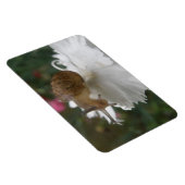 ガーデンカタツムリとホワイトカーネーションプレミアムマグネット マグネット (右側)