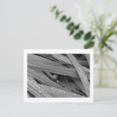 ガーデンカタツムリ葉書 ポストカード (スタンド正面)