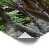 ガーデンガゼボとレッド紅葉 ポスター (コーナー)