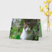 ガーデンキャットグリーティングカード カード (黄色い花)