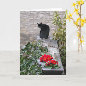 ガーデンキャット誕生日 カード (黄色い花)