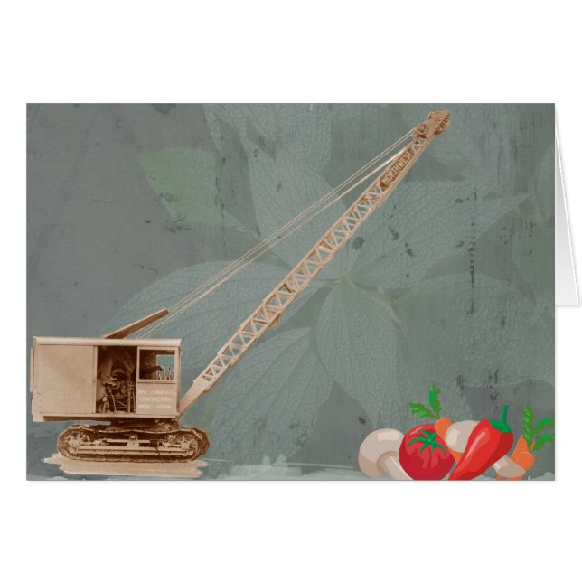 ガーデンクレーン運転士北西部クレーン (正面横)