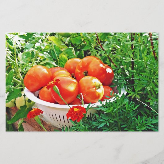 ガーデングッズ 便箋 (正面)