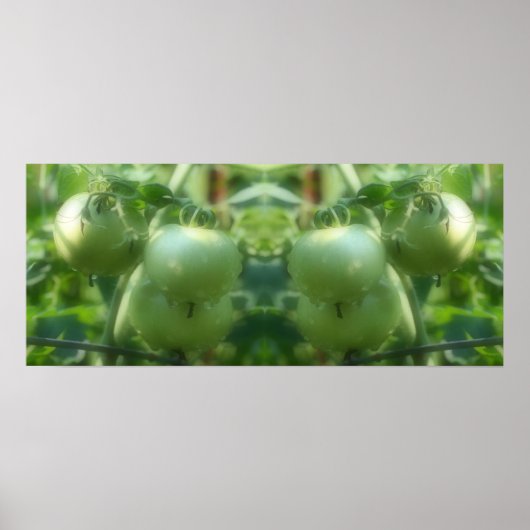 ガーデングリーントマト自然鏡抽象芸術 ポスター (正面)