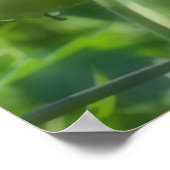 ガーデングリーントマト自然鏡抽象芸術 ポスター (角)