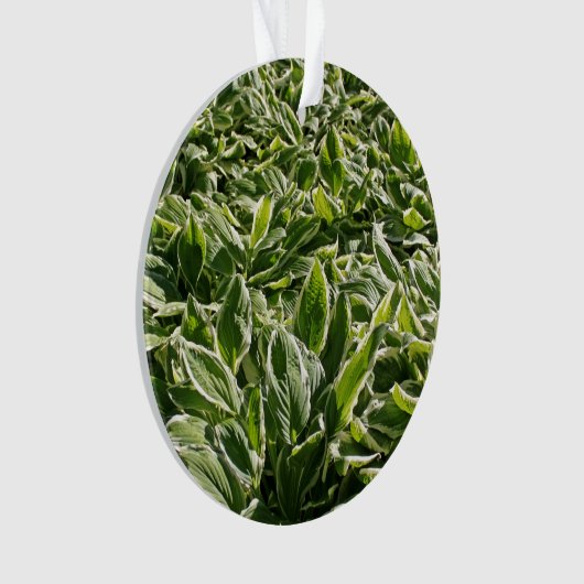 ガーデングリーンリーフかわいい父の日植物パパギフト オーナメント (正面)