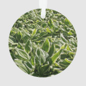 ガーデングリーンリーフかわいい父の日植物パパギフト オーナメント (裏面)