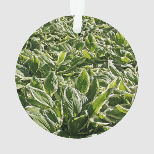 ガーデングリーンリーフかわいい父の日植物パパギフト オーナメント (裏面)
