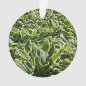 ガーデングリーンリーフかわいい父の日植物パパギフト オーナメント (正面)
