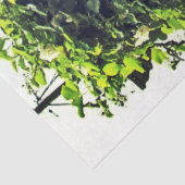 ガーデングレースティッシュペーパーバイエルジーレーンアートガレージ 薄葉紙 (詳細)