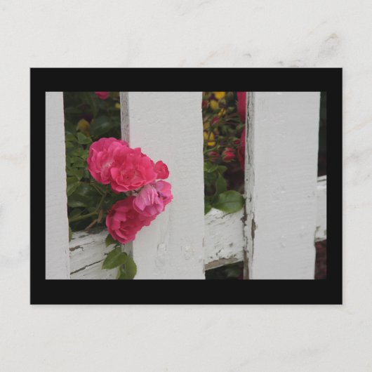 ガーデンゲート ポストカード (正面)