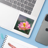 ガーデンコスモスの花 シール (ノートパソコンとiPhone)