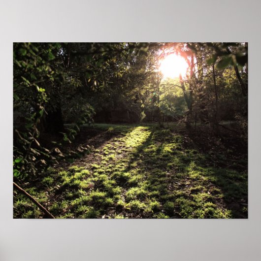 ガーデンサンシャインプリント ポスター (正面)