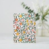 ガーデンシトラスフルーツオレンジレモンヴィンテージはがき ポストカード (スタンド正面)