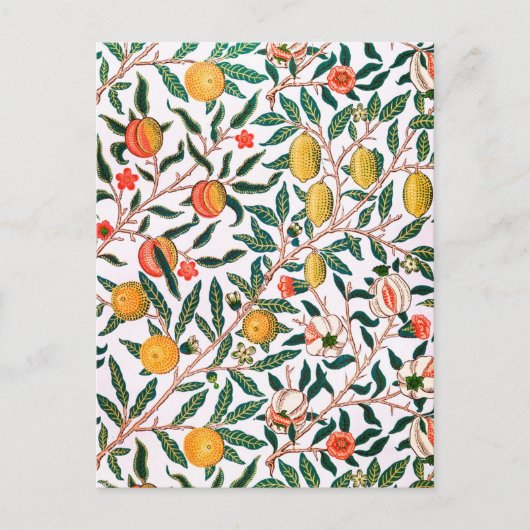 ガーデンシトラスフルーツオレンジレモンヴィンテージはがき ポストカード (正面)