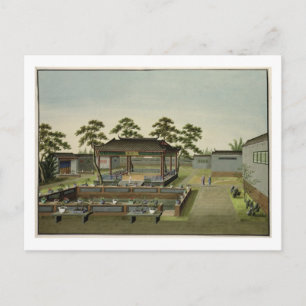 ガーデンシーン、c.1820-40(紙付き) 4 ポストカード