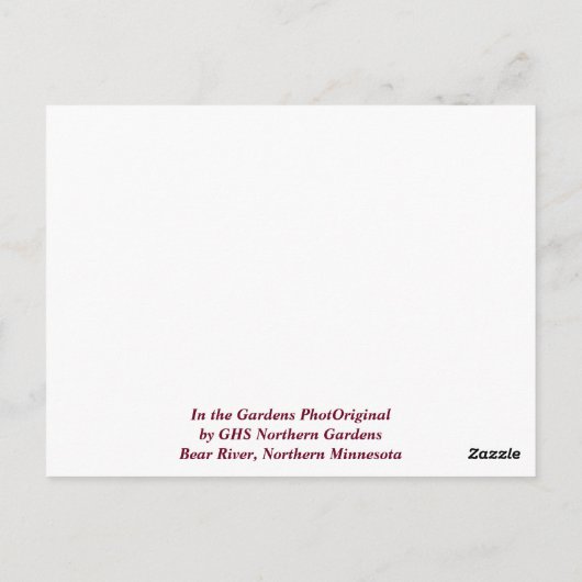 ガーデンズからメリークリスマスウィンターホリデー ポストカード (裏面)