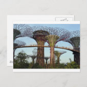 ガーデンズバイザベイシンガポールスーパーツリーグローブ ポストカード (正面/裏面)