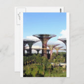 ガーデンズバイザベイシンガポールスーパーツリーグローブ ポストカード (正面/裏面)