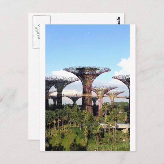 ガーデンズバイザベイシンガポールスーパーツリーグローブ ポストカード (正面/裏面)