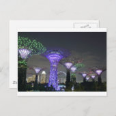 ガーデンズバイザベイスーパーツリーグローブのライトショー ポストカード (正面/裏面)