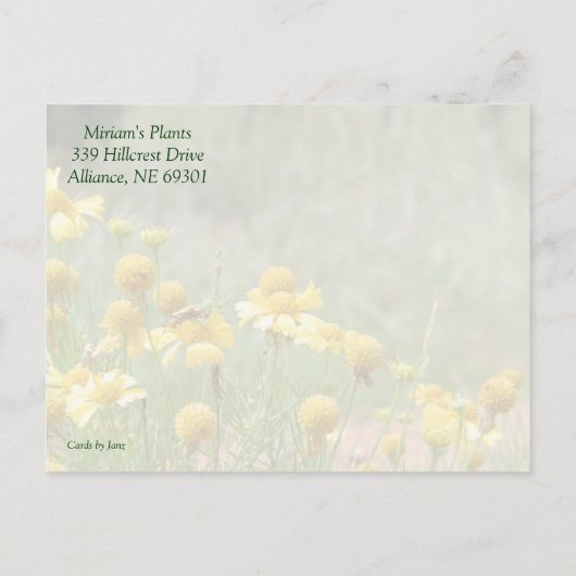 ガーデンセール招待状 インビテーションポストカード (裏面)