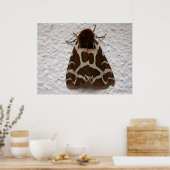 ガーデンタイガーモス ポスター (キッチン)