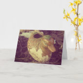 ガーデンダック カード (黄色い花)