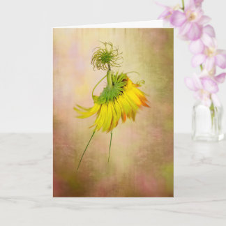 ガーデンダンサー カード