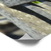 ガーデンチェアの上のスパロウ ポスター (角)