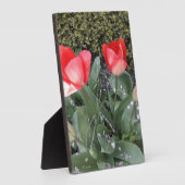 ガーデンチューリップ フォトプラーク (側面)