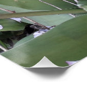 ガーデンチューリップ ポスター (コーナー)