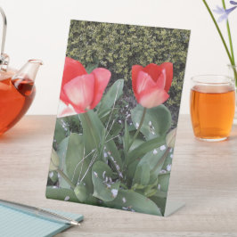 ガーデンチューリップ 台座サイン