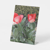 ガーデンチューリップ 台座サイン (正面)