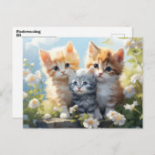 ガーデンデイジーの三匹の子猫 ポストカード (正面/裏面)