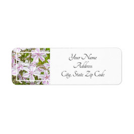 ガーデンデライト ラベル