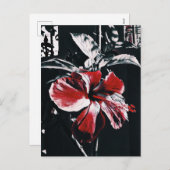 ガーデントロピカルハイビスカスアートワーク シーズンポストカード (正面/裏面)