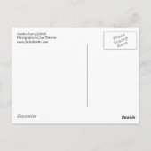 ガーデンドア©2008 ポストカード (裏面)