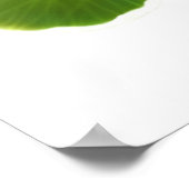 ガーデンナスタジウムフラワーズプリント ポスター (角)